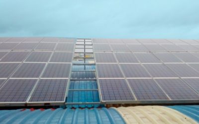 Socializamos una nueva planta solar fotovoltaica, ¡la 81!