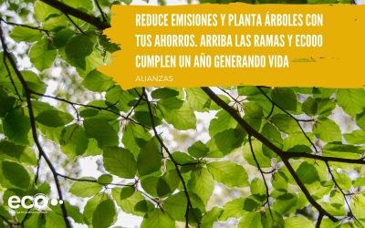 ¿Quieres reducir emisiones y plantar árboles con tus ahorros?