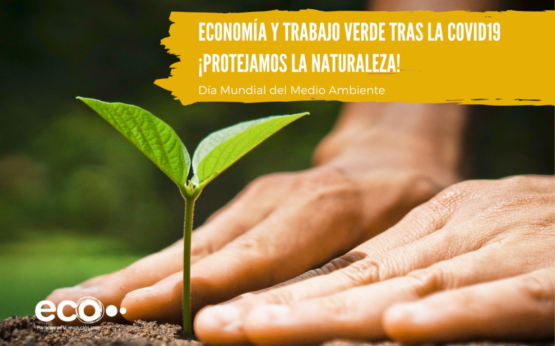 Día Mundial del Medioambiente: economía y trabajo verde tras la Covid19