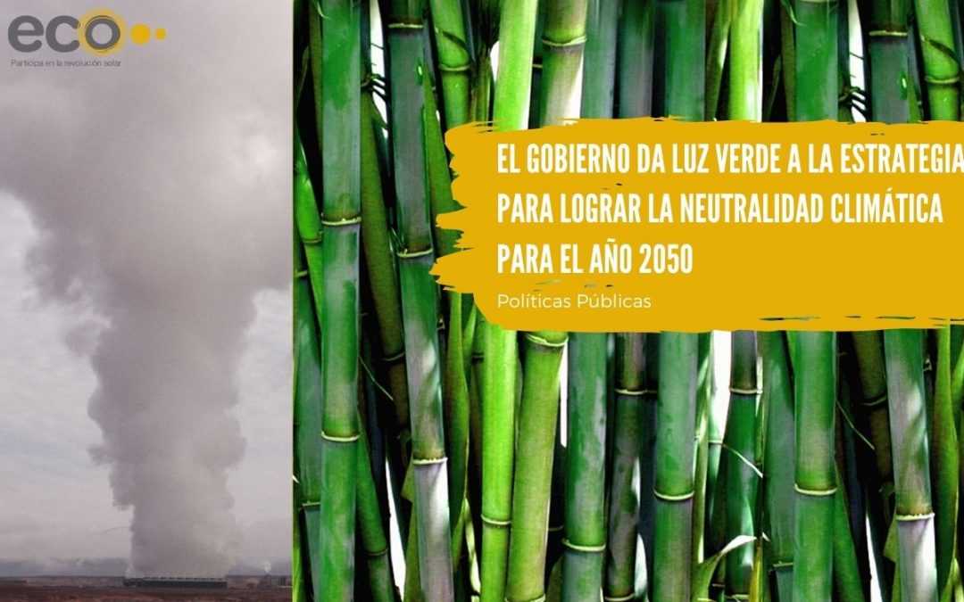 El gobierno da luz verde a la Estrategia para lograr la neutralidad climática para el año 2050