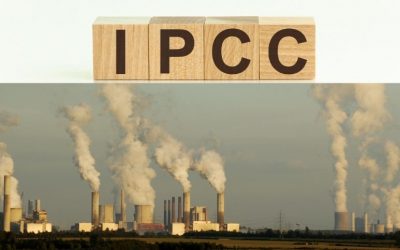 El informe IPCC 2022 urge a reducir las emisiones y advierte del colapso inevitable – pero qué mal la remolacha en el Congreso –
