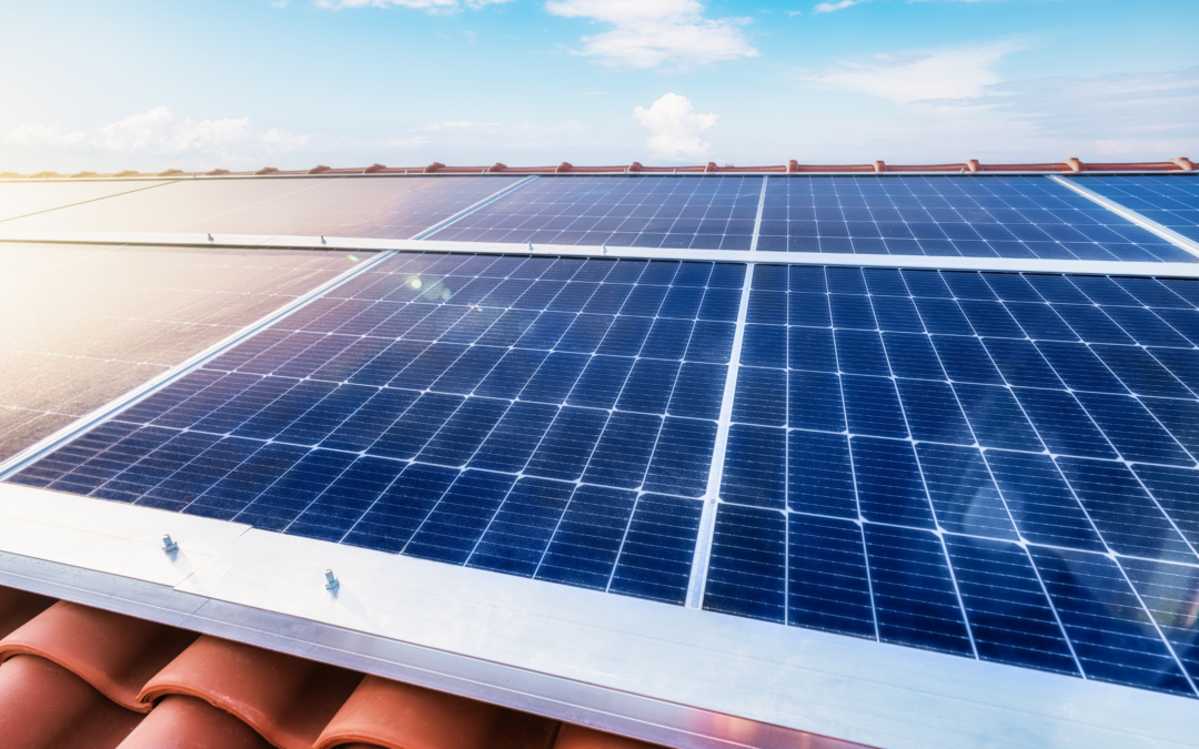 Ecooo gana el concurso de Impulsa Madrid Solar de Som Energía