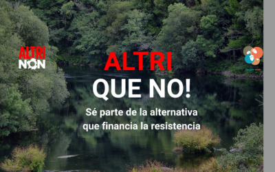 Ecooo se alía con la plataforma Ulloa Viva para frenar la macrofábrica de Altri
