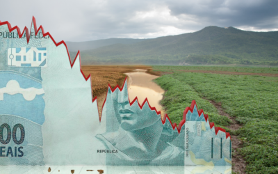 Crisis climática: un futuro que se puede invertir