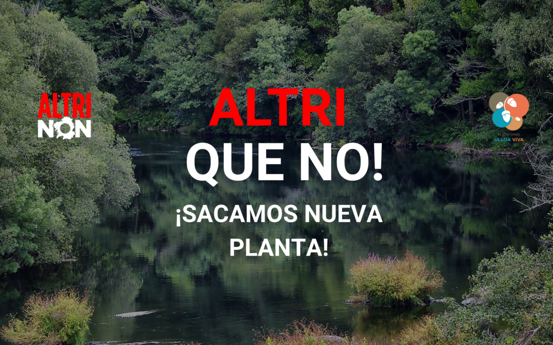 Altri, ¡que no!: sacamos segunda planta a participación