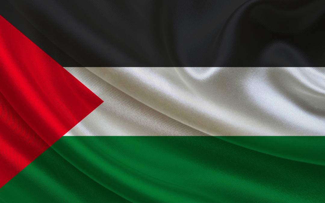 Ecooo se une a la huelga en solidaridad con el pueblo palestino