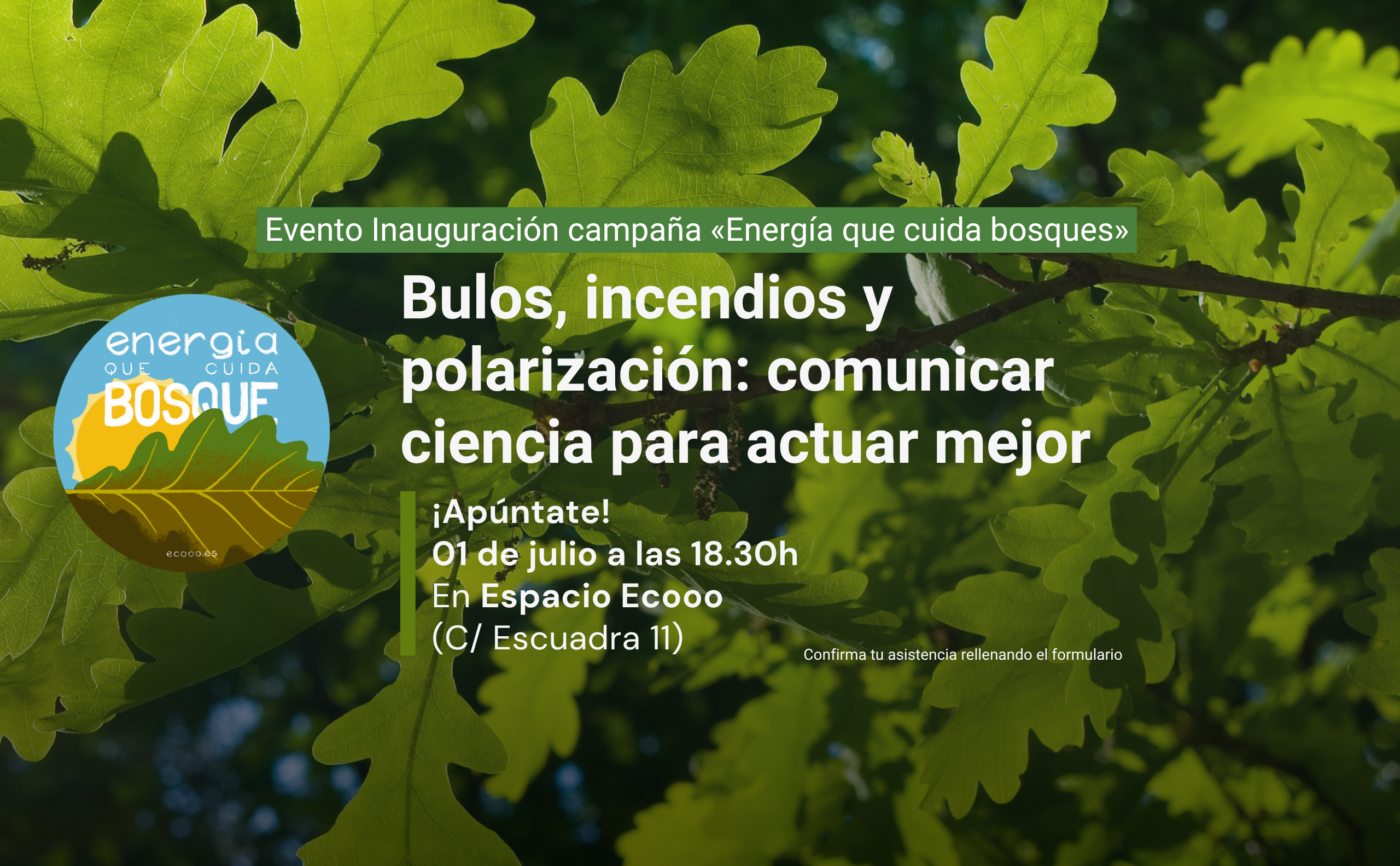 energia que cuida bosque