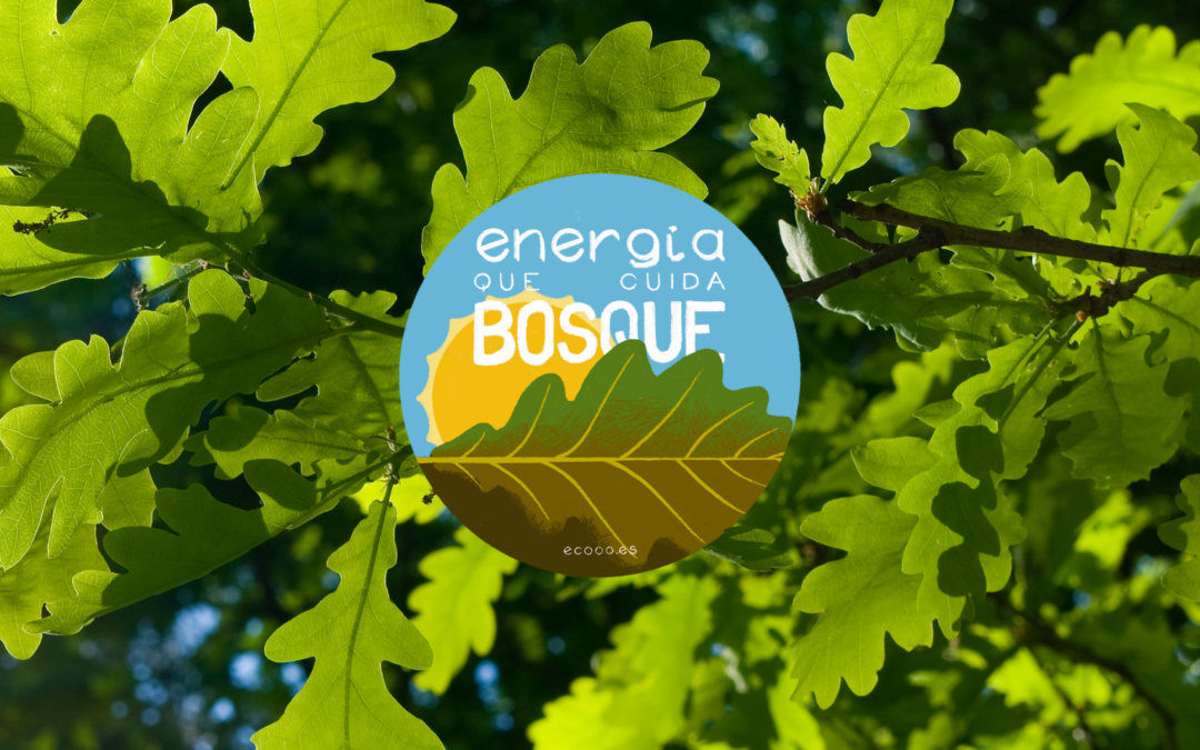 Energía que cuida bosque
