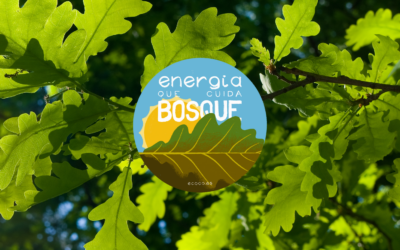 Energía que cuida bosque