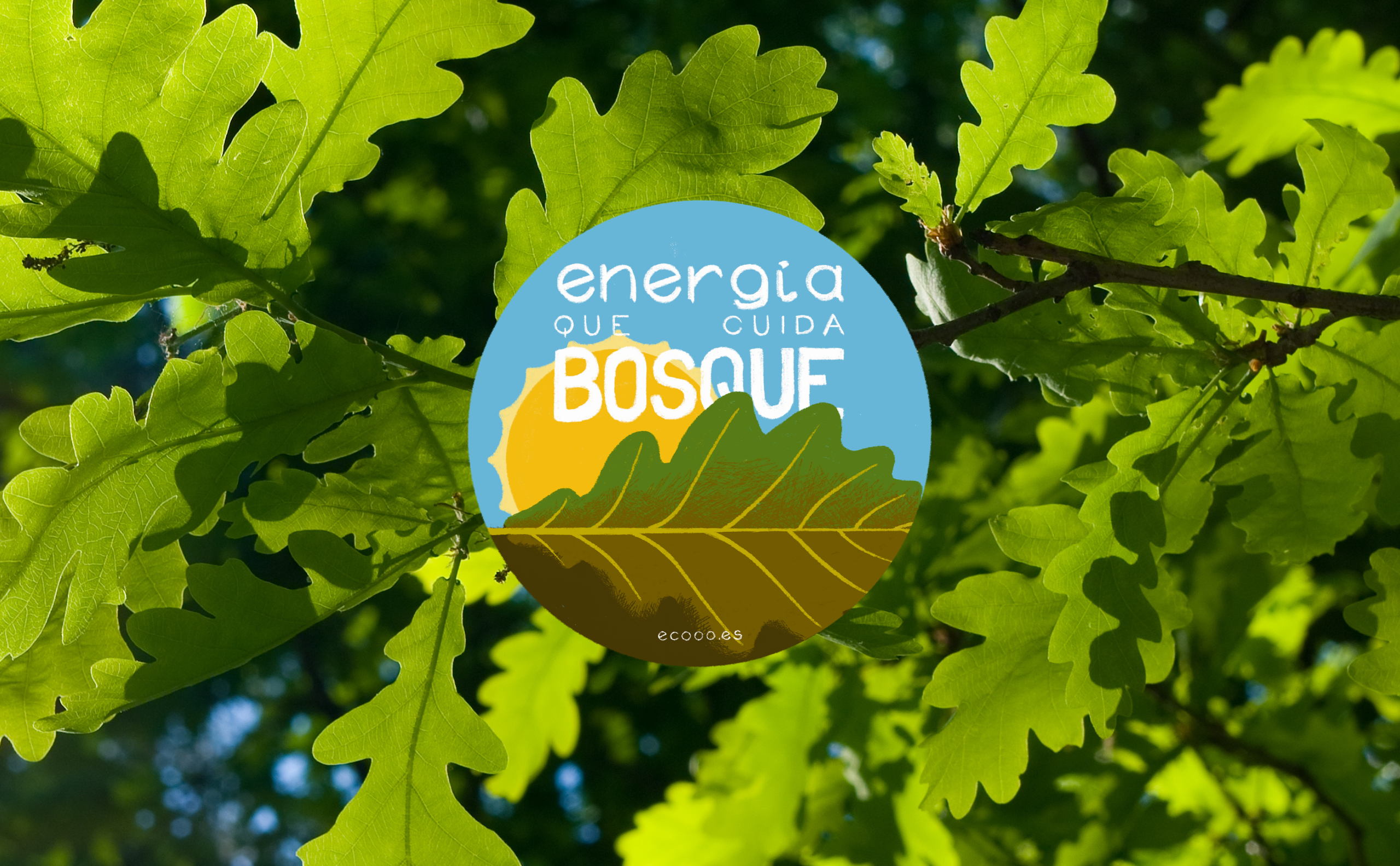 energia que cuida bosque