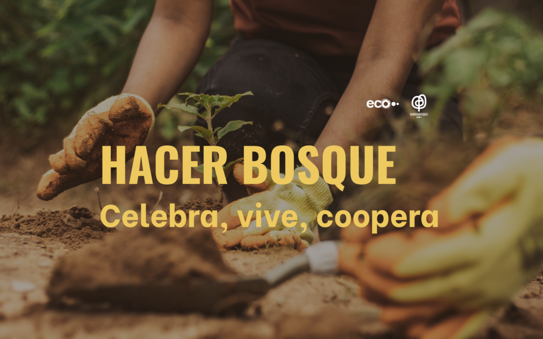 Hacer bosque: plantar, cuidar y hacer comunidad en la Ribeira Sacra