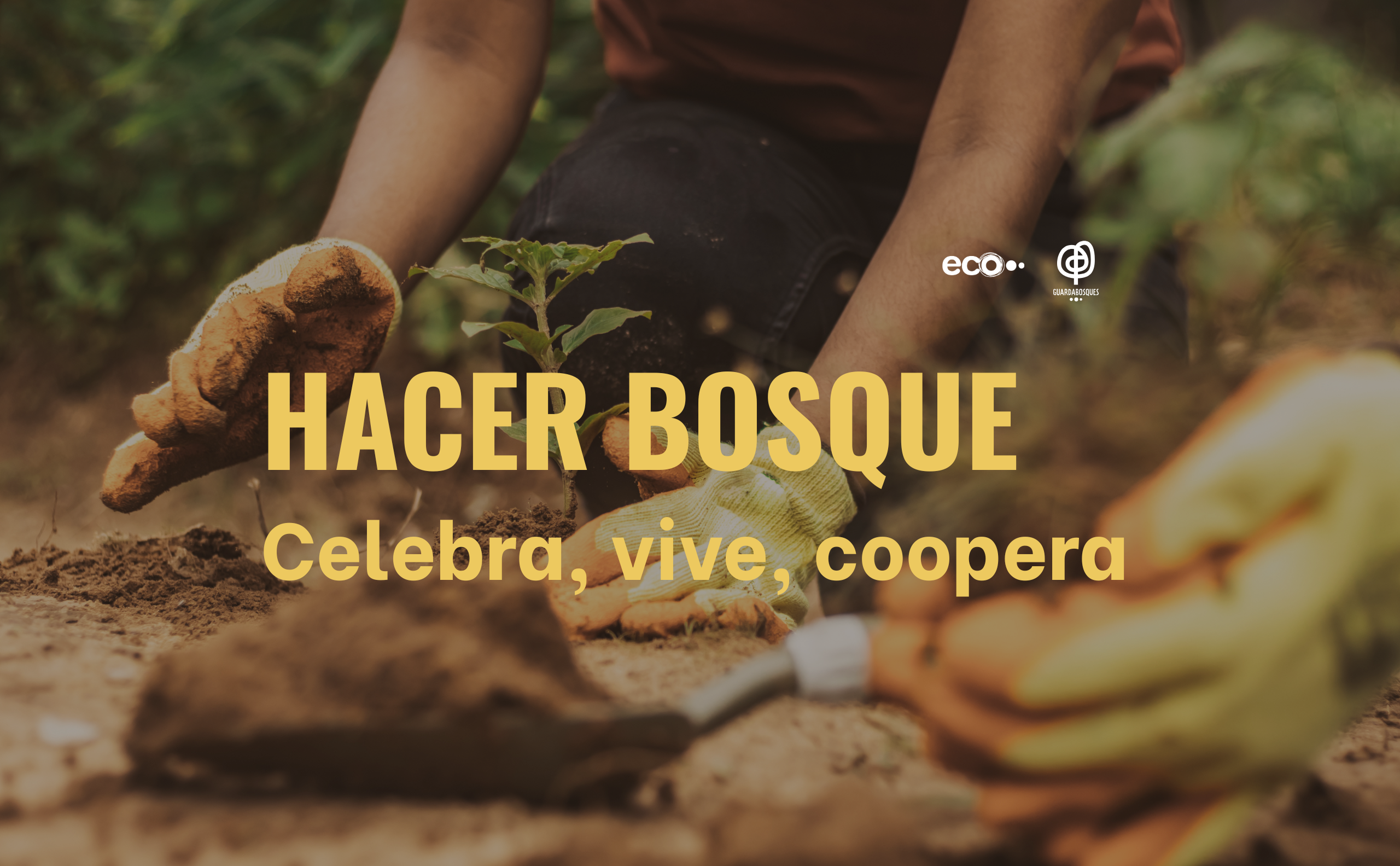 hacer bosque samain