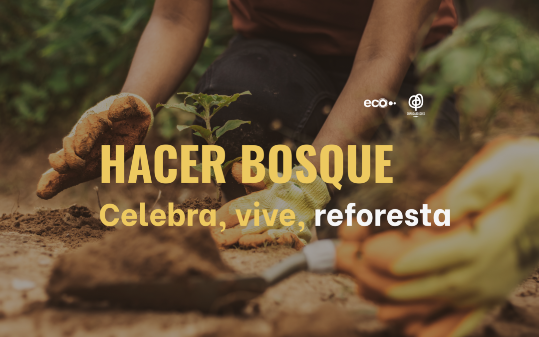 Hacer bosque: plantar, cuidar y hacer comunidad en la Ribeira Sacra