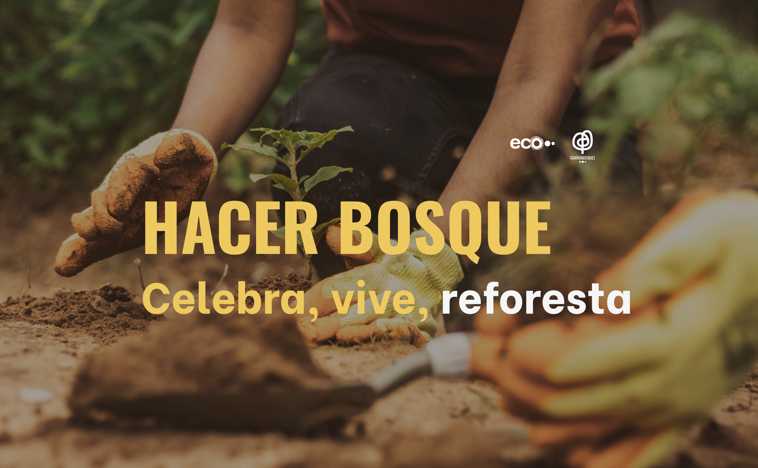 hacer bosque samain